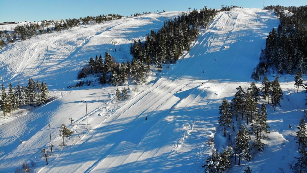 Ski Lodge Gautefall Ngoại thất bức ảnh